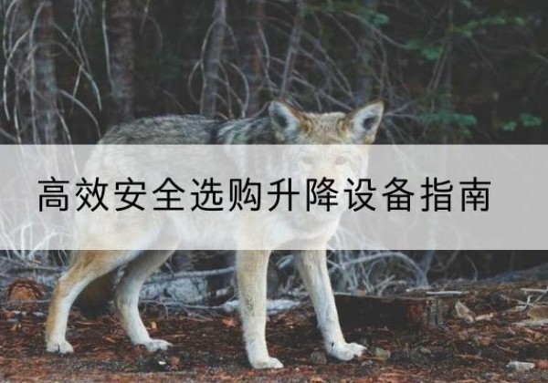 乌兰浩特升降货梯厂家推荐-*安全选购升降设备指南