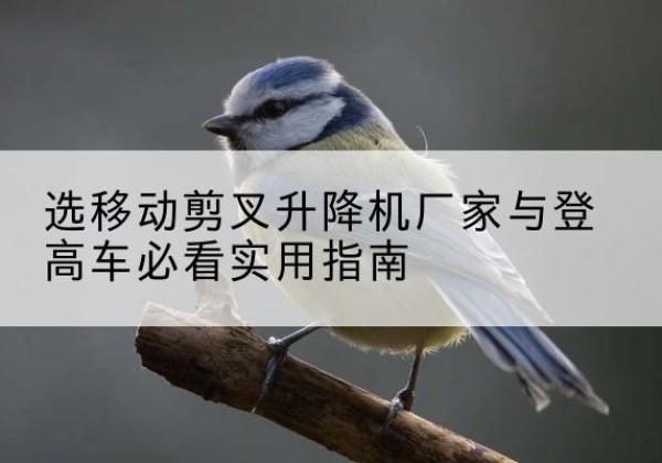 乌兰浩特电动升降机厂家-选移动剪叉升降机厂家与登高车必看实用指南